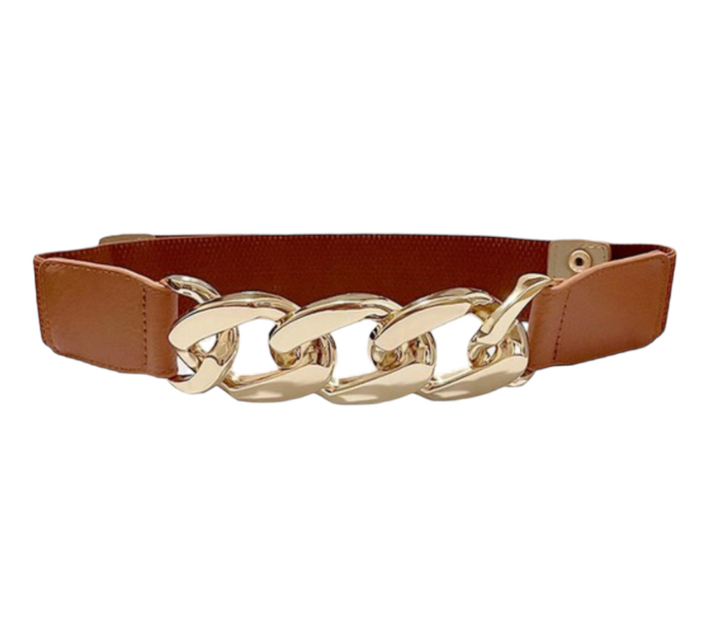 Chain Link Belt